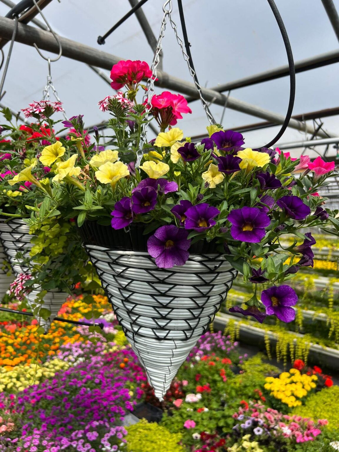 12" Cone Basket