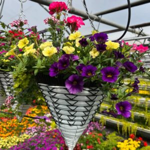 12" Cone Basket