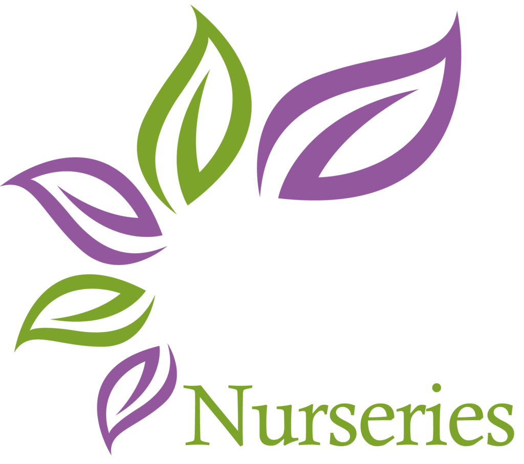 Holland House Nurseries